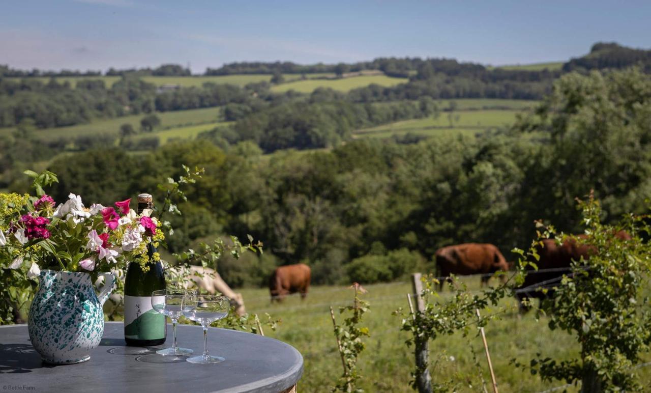 Horseshoe Barn Axminster Bagian luar foto